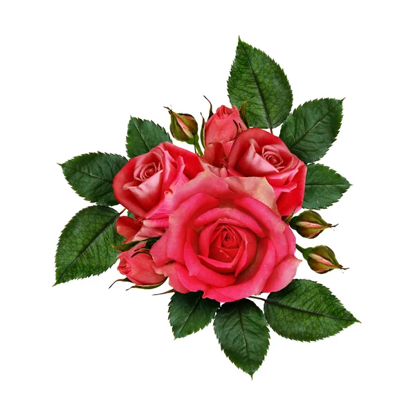 Рожеві квіти Стокова Картинка