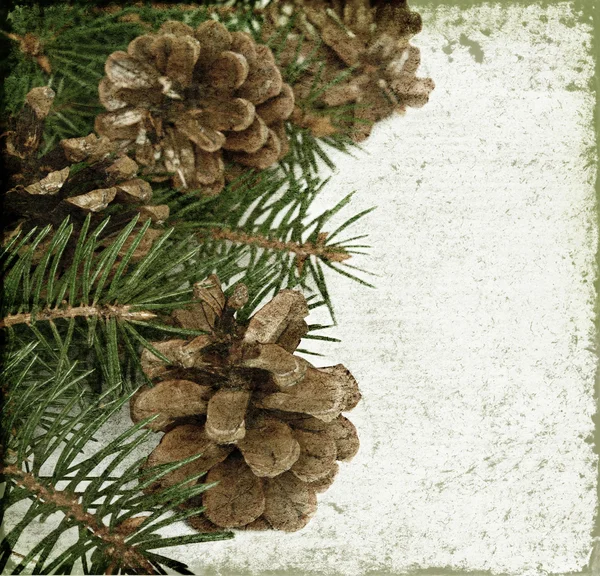 Weihnachtsbaum und Tannenzapfen — Stockfoto