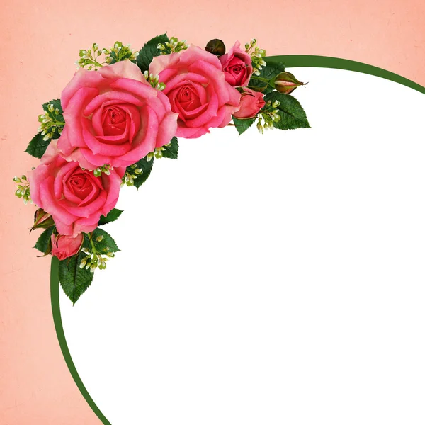 Rosa cornice fiori — Foto Stock