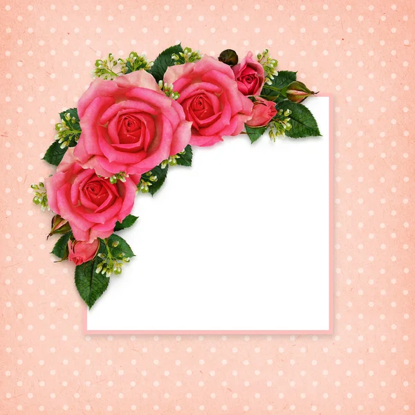 Rosa cornice fiori — Foto Stock