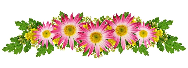 Wild flowers arrangement — Stock Photo, Image