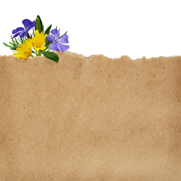 Craft paper background — Stock Photo © ksushsh 40629669