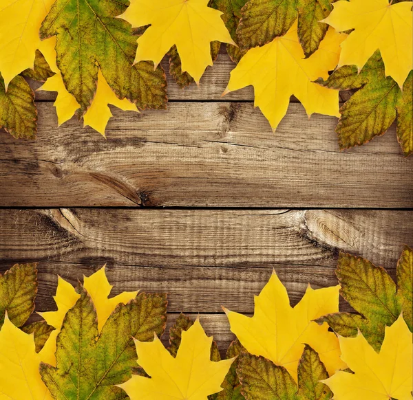 Hojas de arce de otoño sobre madera —  Fotos de Stock