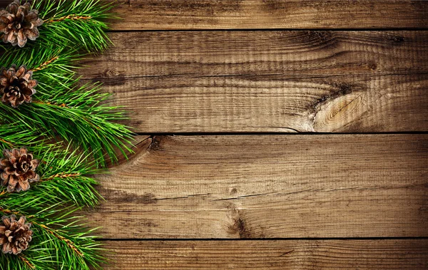 Holz Hintergrund mit Ästen von Kiefern — Stockfoto