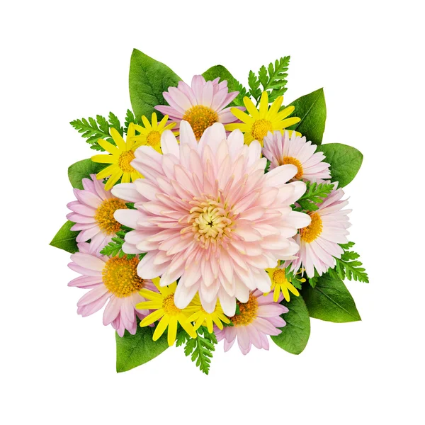 Aster flowers bouque — Stock Photo, Image