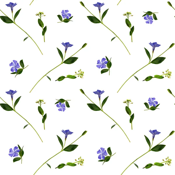 Periwinkle och vilda blommor seamless mönster — Stockfoto