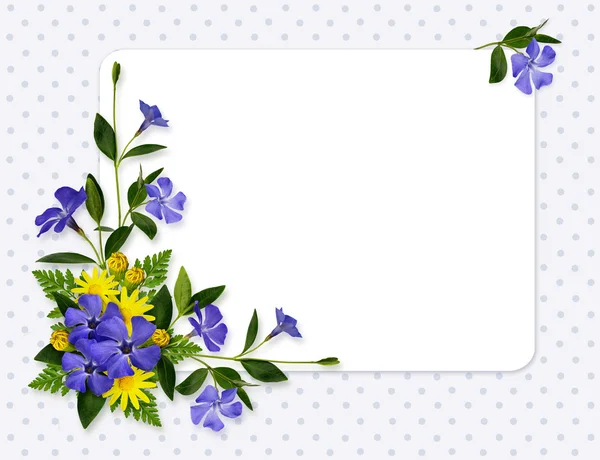 Decoración de flores de periwinkle y margarita y una tarjeta — Foto de Stock