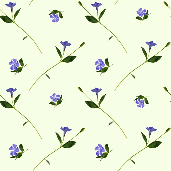 Periwinkle blommor seamless mönster — Stockfoto