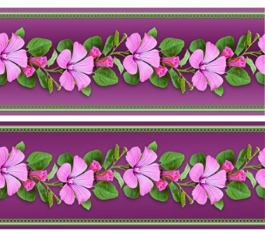 Bindweed flowers on purple background clipart