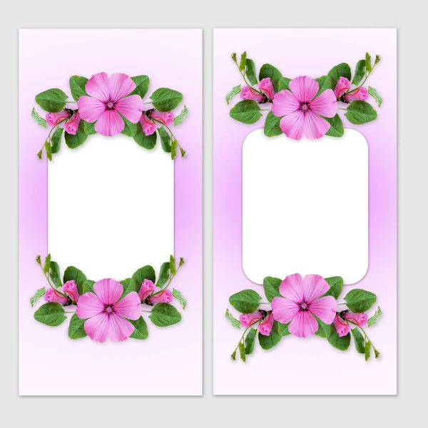 Üdülési kártya, mezei szulák virágok — Stock Fotó