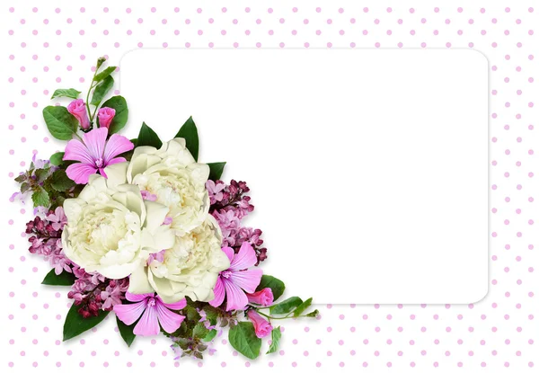 Beyaz kart Şakayık ve kır çiçekleri kompozisyonu — Stok fotoğraf