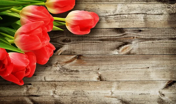 Tulpan blommor på mörk trä bakgrund — Stockfoto