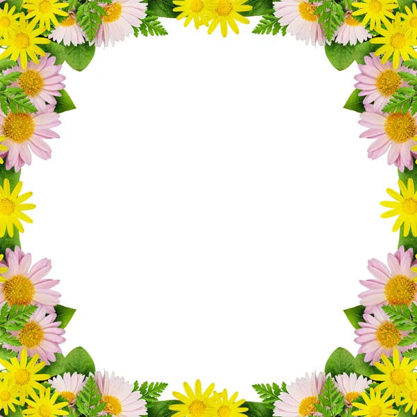 Wild flowers frame — Stock Photo, Image