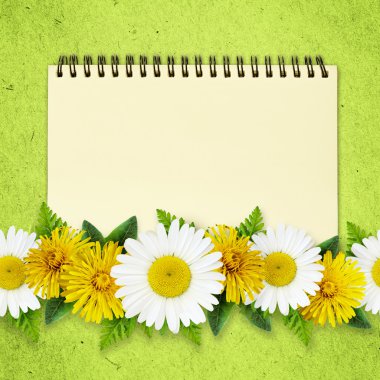 Daisy ve karahindiba çiçek hatları ve bir not defteri