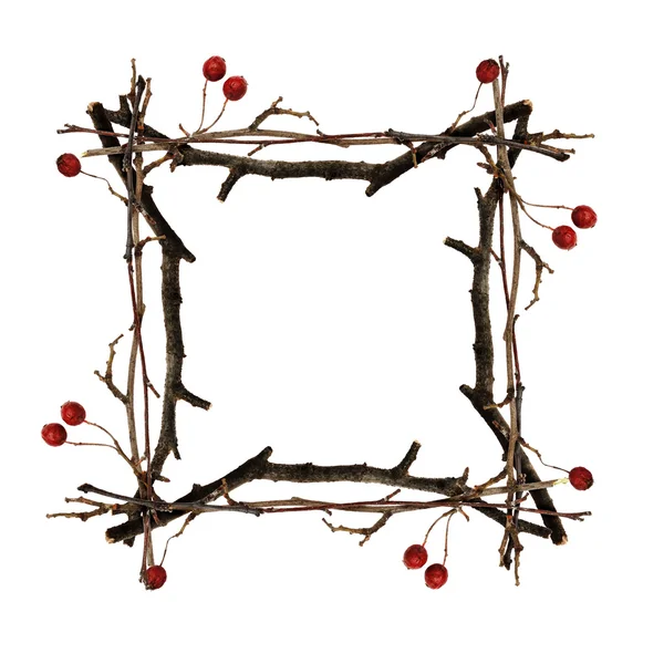Frame made from dry twigs — Stock Photo, Image