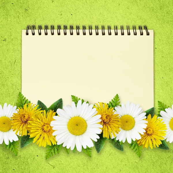 Daisy and dandelion flowers lines and a notepad — Stock Photo, Image