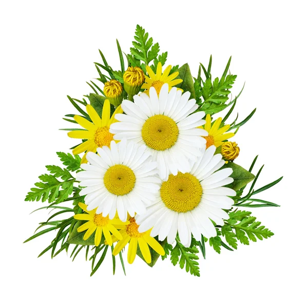 Daisy květiny kytice — Stock fotografie