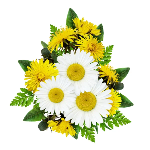 Daisy flowers bouquet — Stock Photo, Image