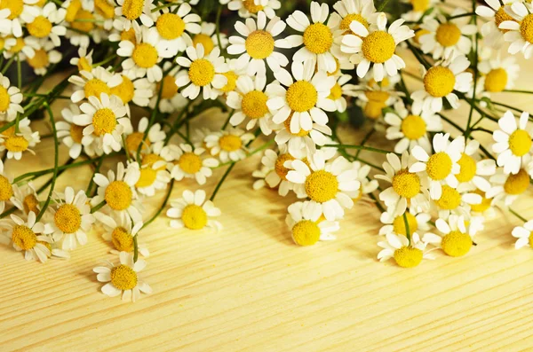 Small daisy flowers on wood — Stock Photo, Image