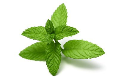 Nane izole bırakır