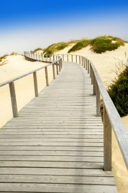 plaj dunes üzerinde ahşap walkboard