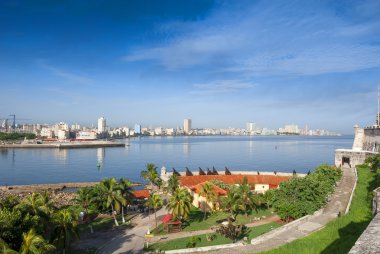 Kale yuvasından Havanas