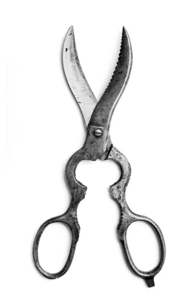 Very Strange Horns Shape Scissors Isolated — Stock Photo, Image