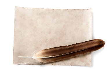 Kuş tüyü izole edilmiş antika parşömen üzerine yazmaya hazır.