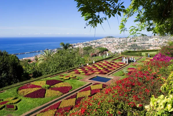 Botanischer Garten, Funchal, Madeira — Stockfoto
