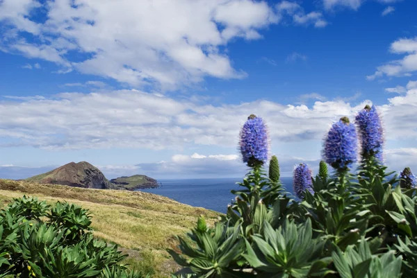 Cape of saotiago,madeira island — Stock Photo, Image