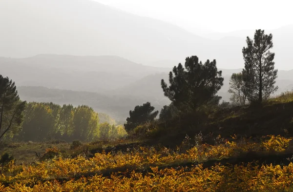 Sierra gredos, İspanya