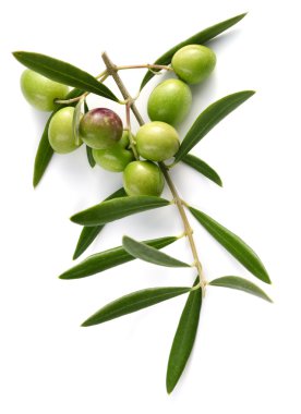 Zeytinli dal