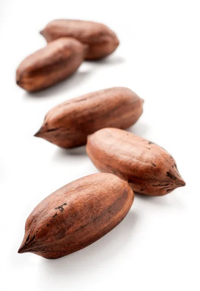 Pecan nuts on white — Stock Photo, Image