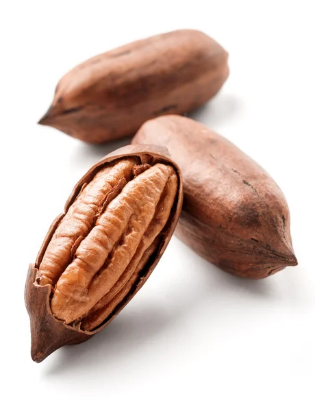 Pecan nötter siolated — Stockfoto