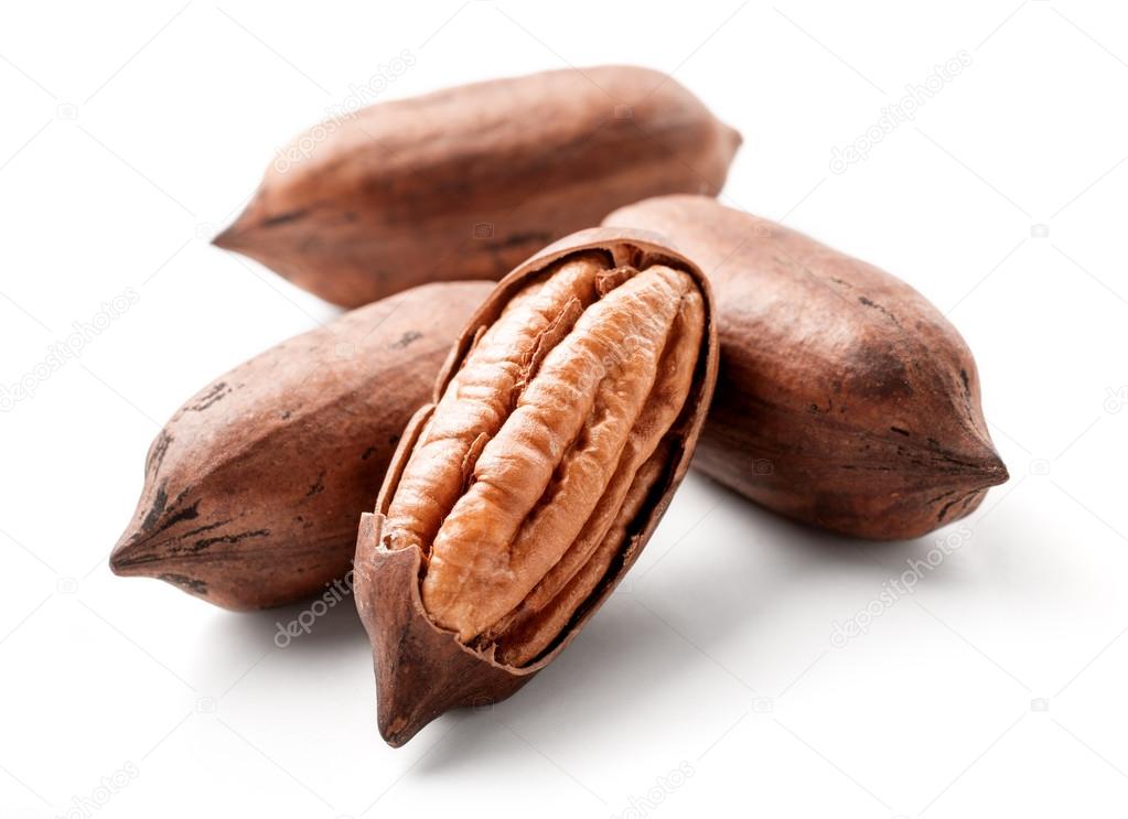 pecans isolated