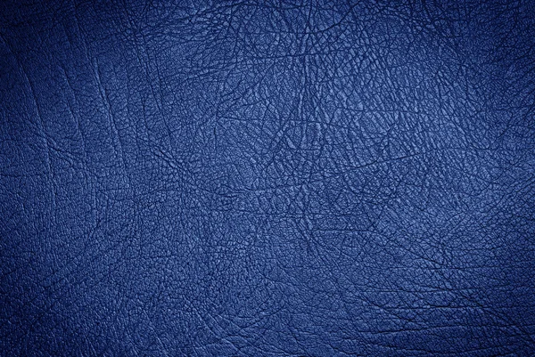 Surface en cuir bleu — Photo