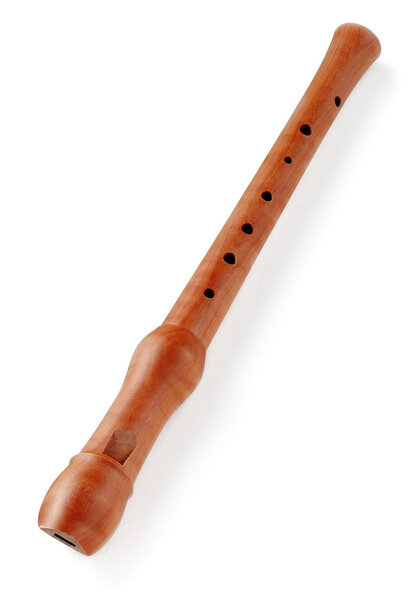 рекордер древесины
