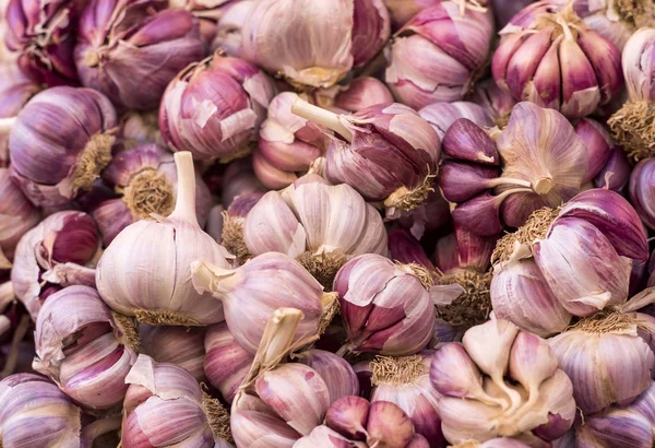 Lila vitlök på marknaden — Stockfoto