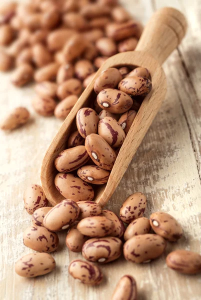 Beans on kitchen table — Stock Photo, Image