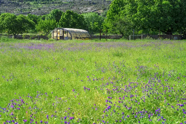 hırdavatçı ile sping çayır