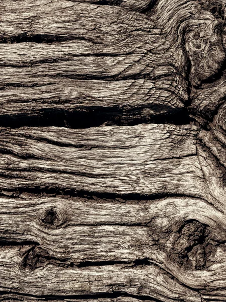 Aged log texture — Stock Photo, Image