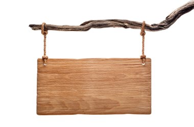 light wood signboard hanging on a dead branch