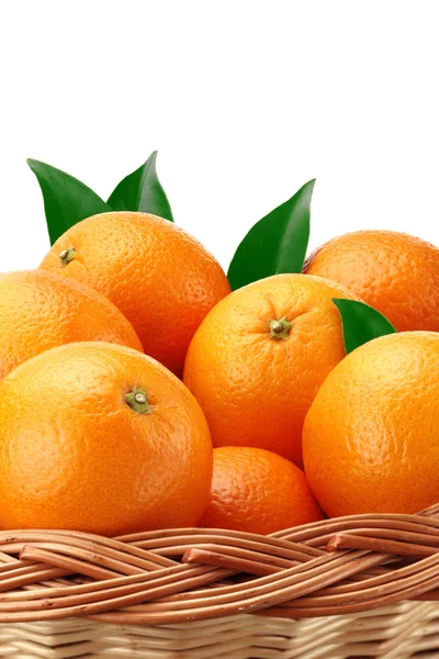 Apelsiner på korg — Stockfoto