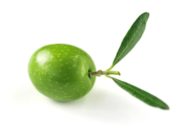 Только оливки сырые — стоковое фото