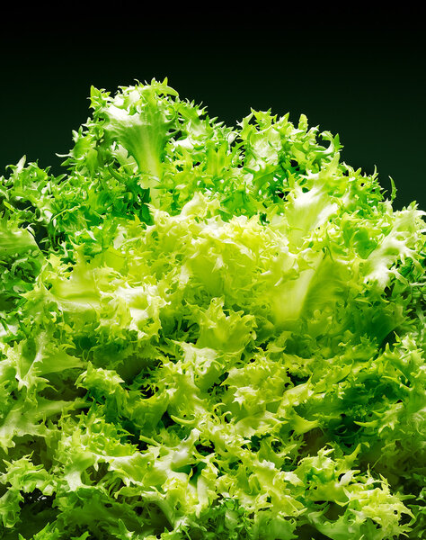 endive leaves on black