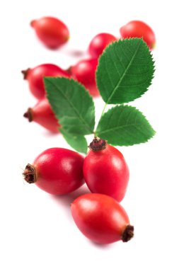 Rose hips beyaz zemin üzerine