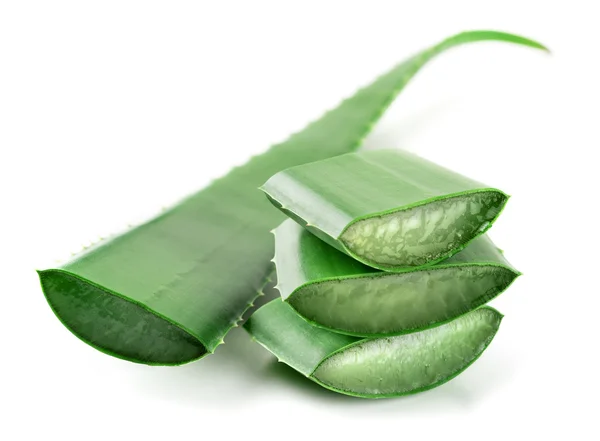 Aloe vera blad — Stockfoto