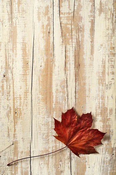 Chute de la feuille d'érable sur bois vieilli — Photo