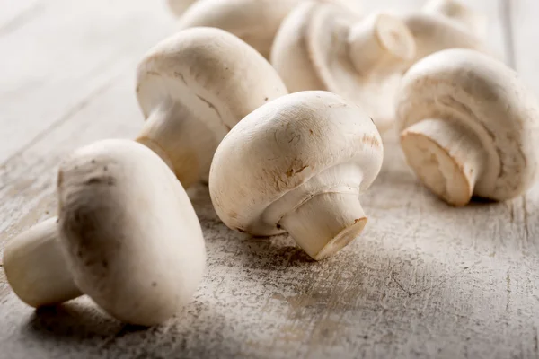 Pilze auf gealtertem Tisch — Stockfoto