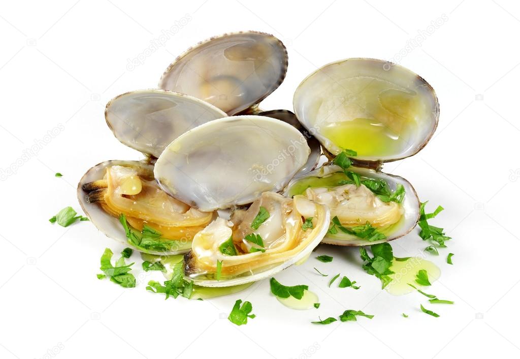 japanese clams isolated